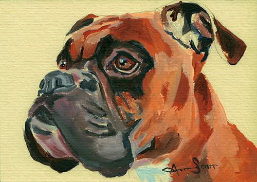 Boxer dog 45 minute acrylic painting