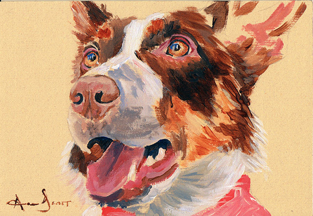 Brown Border Collie 45 minute acrylic painting