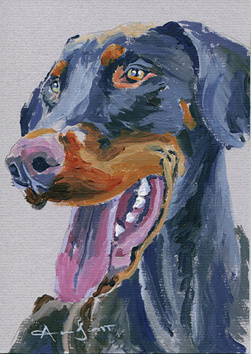 Doberman Pinscher dog tongue out 45 minute acrylic painting