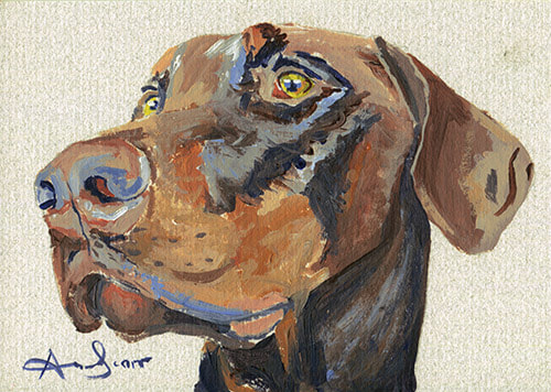 Doberman Pinscher brown dog 45 minute acrylic painting