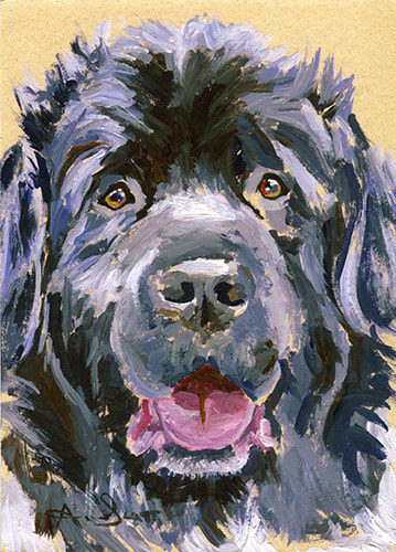 Newfoundland dog 45 minute acrylic painting
