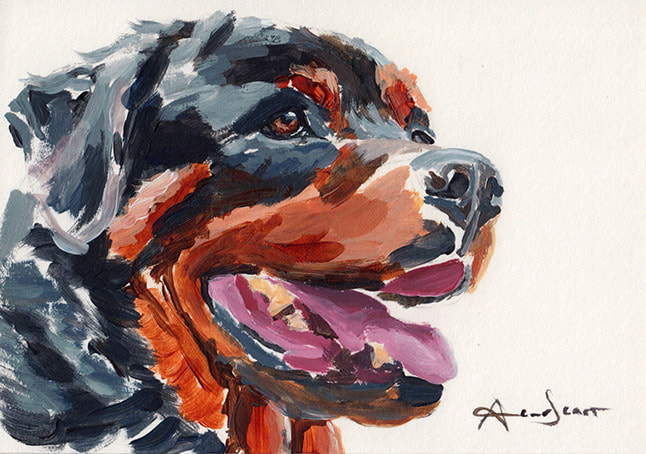 Rottweiler dog 1 45 minute acrylic painting