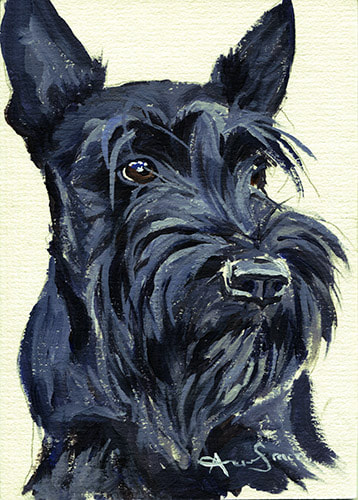 Scottish Terrier dog black 45 minute acrylic painting