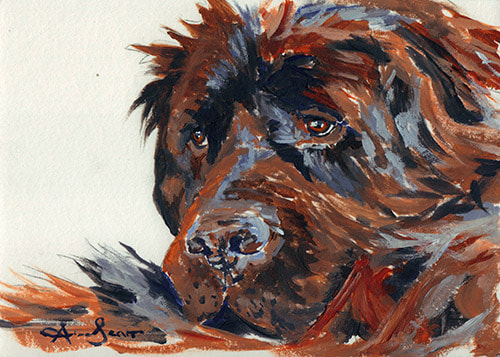 Brown Newfoundland dog 45 minute acrylic painting