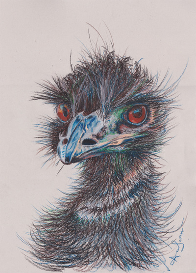 Emu oil pastel drawing