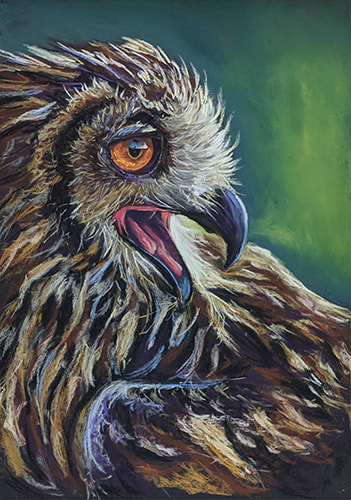 Eagle Owl soft pastels