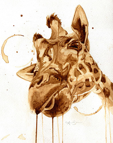 Giraffe head looking down at viewer coffee painting with coffee drips, splashes and coffee cup ring stains