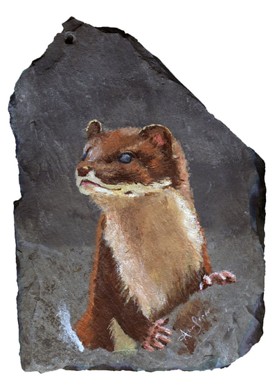 Stoat acrylic painting on reclaimed roof slate